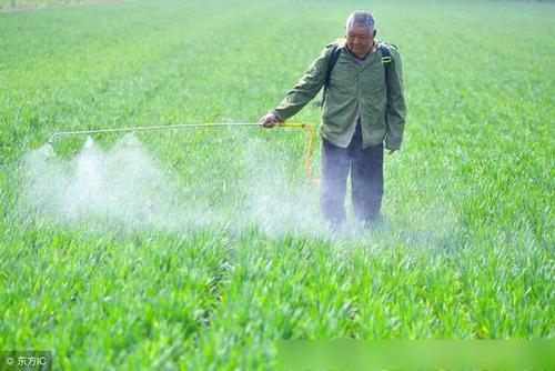 多通道農(nóng)藥殘留檢測儀 多通道農(nóng)藥殘留檢測儀